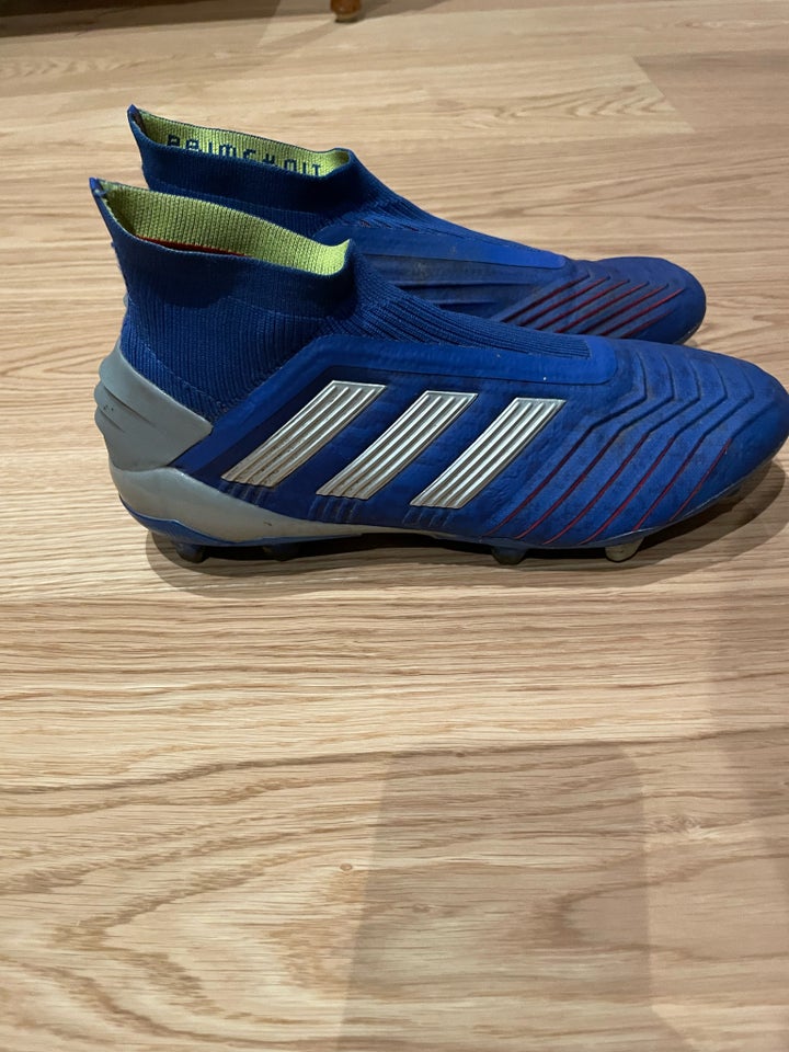 Sportssko, Adidas predator, str.