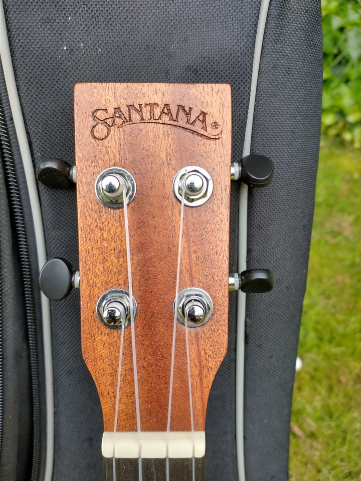 Ukulele, Santana Concert