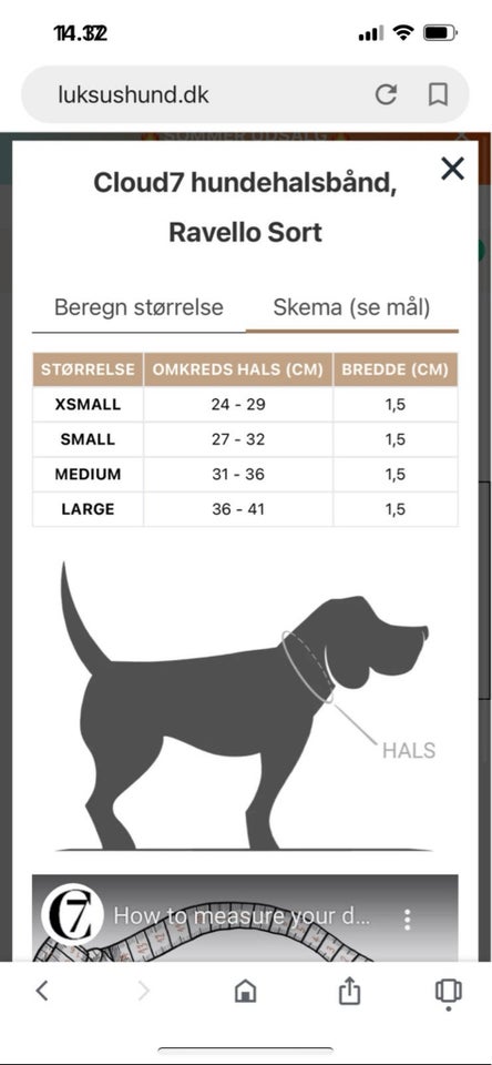 Halsbånd Halsbånd + snor