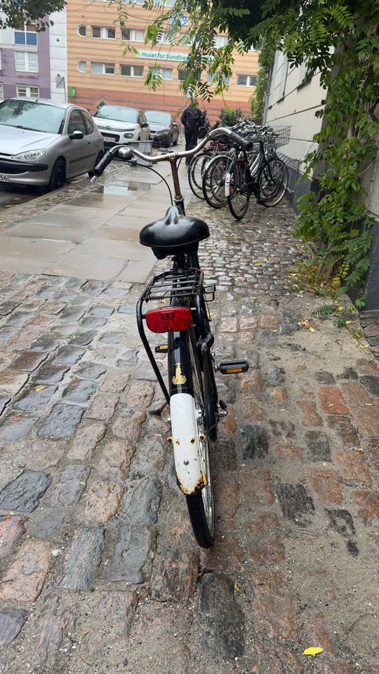 Damecykel, Raleigh, Tourist de