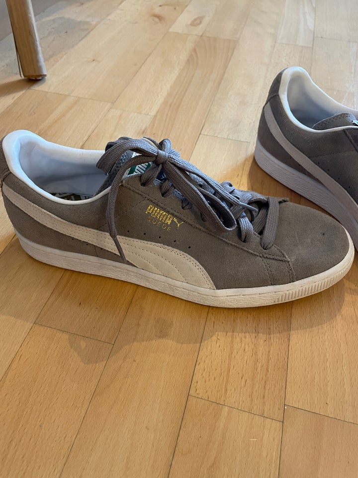 Sneakers, Puma, str. 43