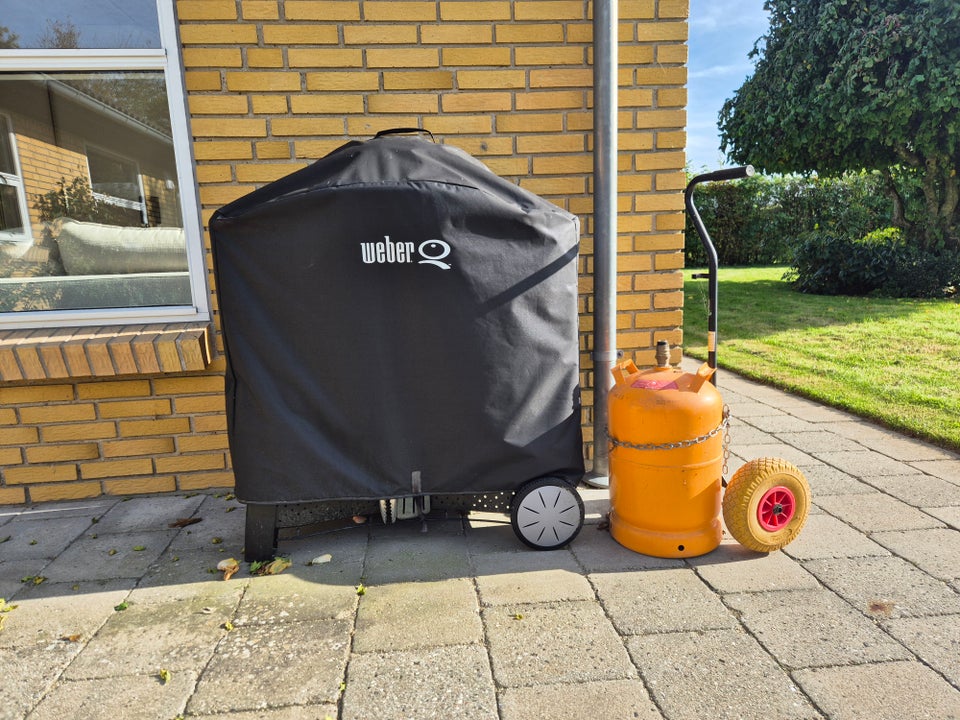 Gasgrill, Weber Q3000