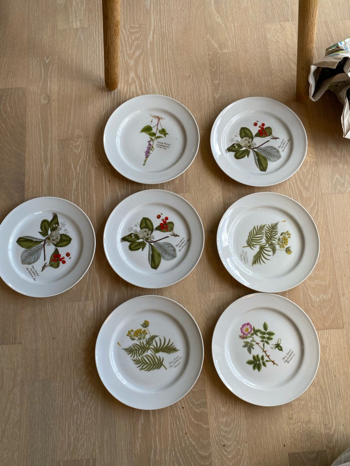 Porcelæn, Frokosttallerken