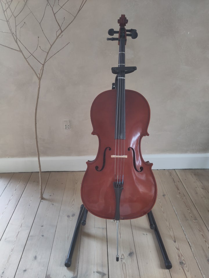 Cello Arvada 3/4