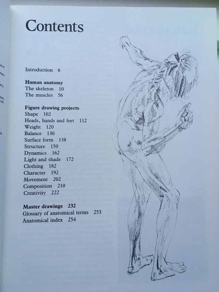 Figure Drawing and Anatomy for the