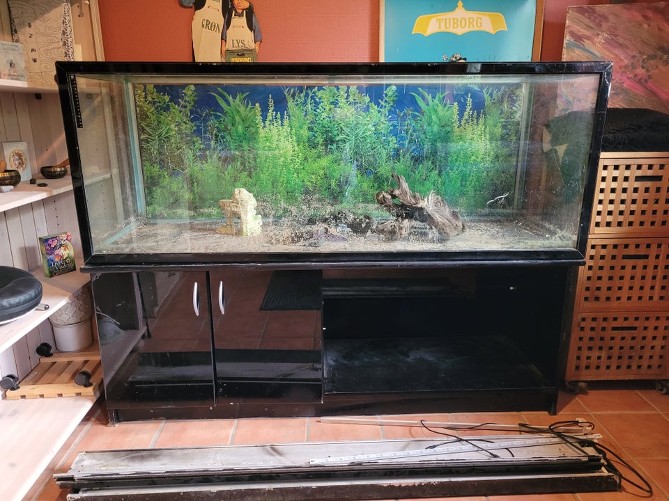 Akvarium 530 liter b: 160 d: 55 h: