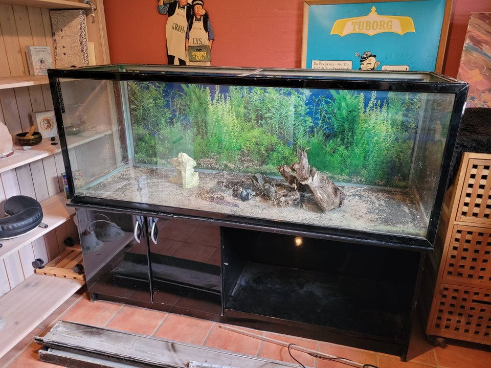 Akvarium 530 liter b: 160 d: 55 h: