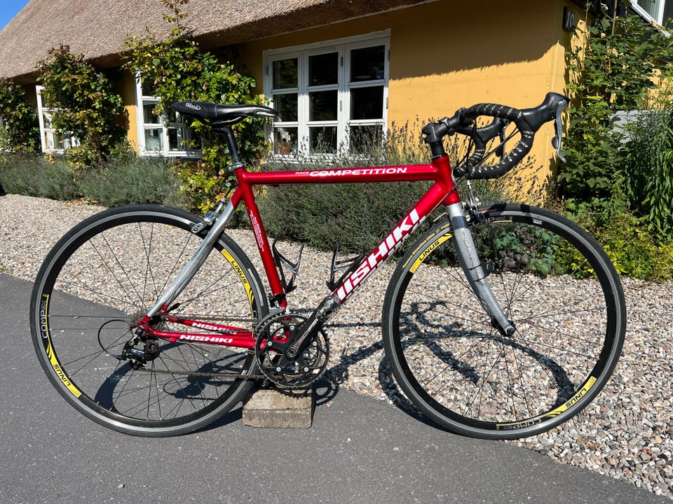 Dameracer Nishiki Race