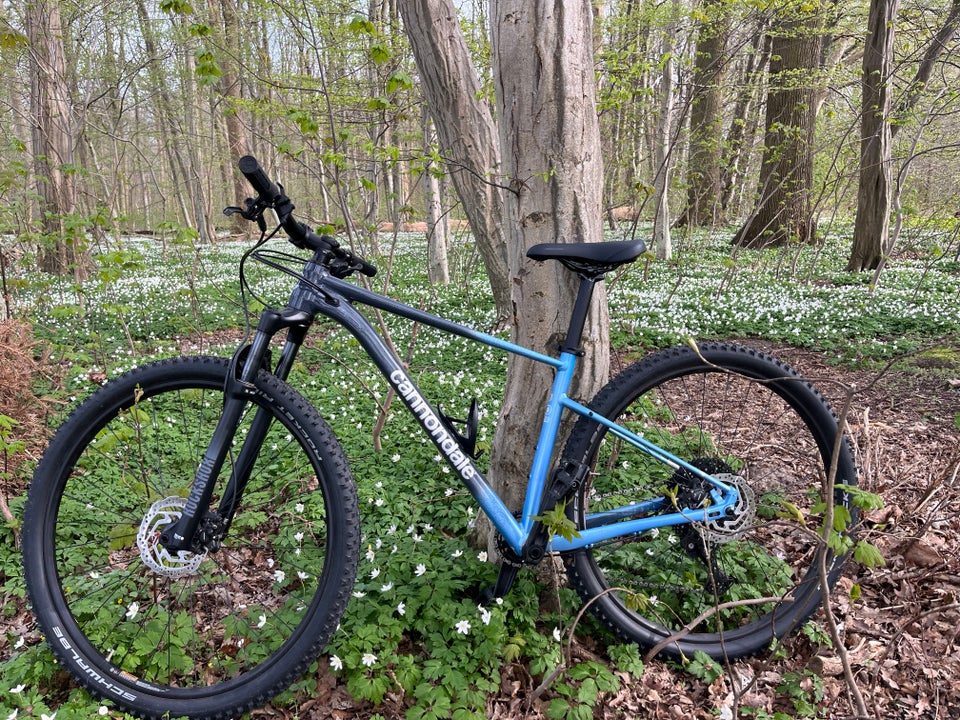 Cannondale Trail SL 3 B hardtail