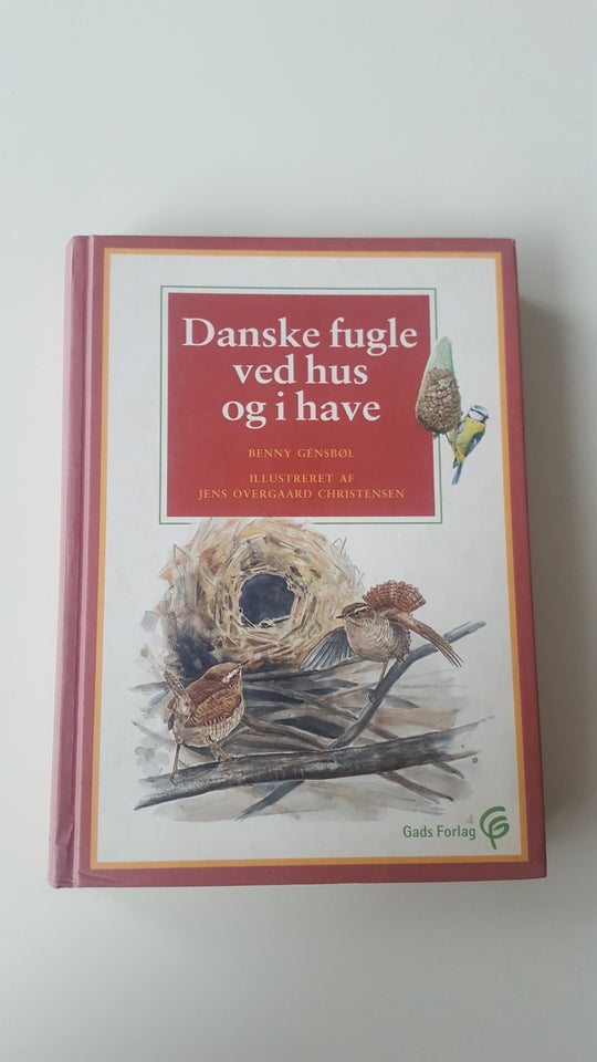 Danske fugle ved hus og i have, Benny