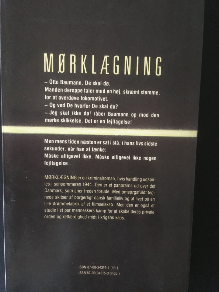 Mørklægning, Anders Bodelsen,