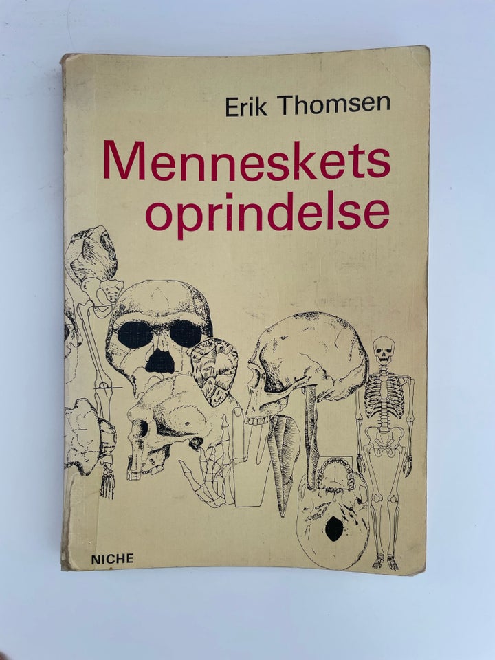 Menneskets oprindelse, Erik