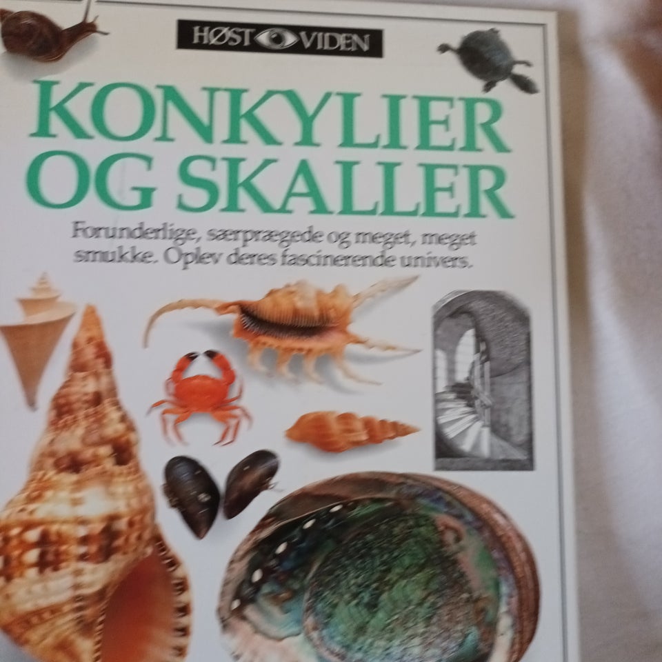 Konkylier og skaller, Alex Arthur,