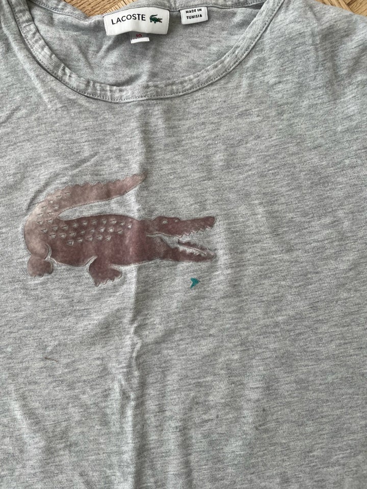 T-shirt, -, Lacoste