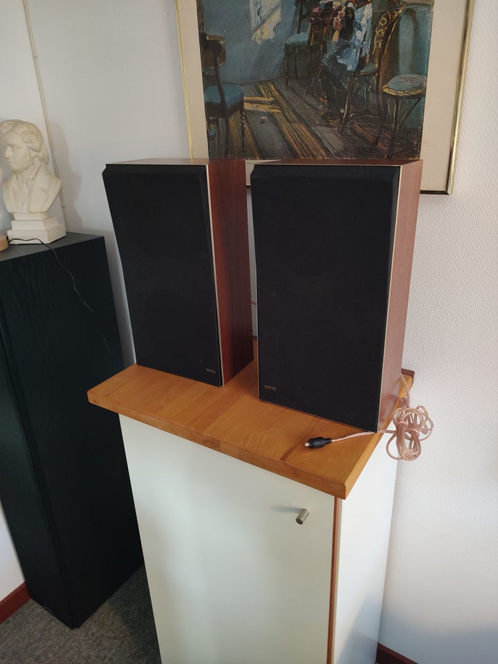 Højttaler, Bang  Olufsen, Beovox S