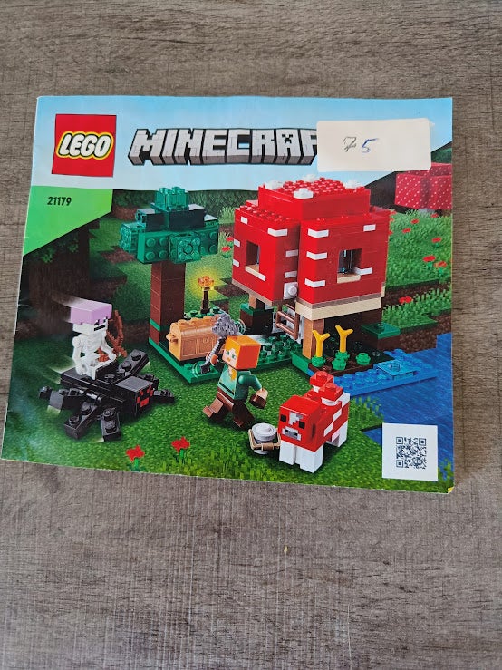 Lego Minecraft, Minecraft og