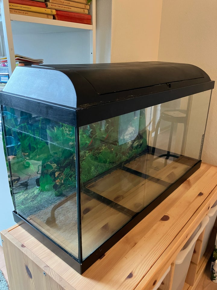 Akvarium 100 liter b: 80 d: 30 h: 48