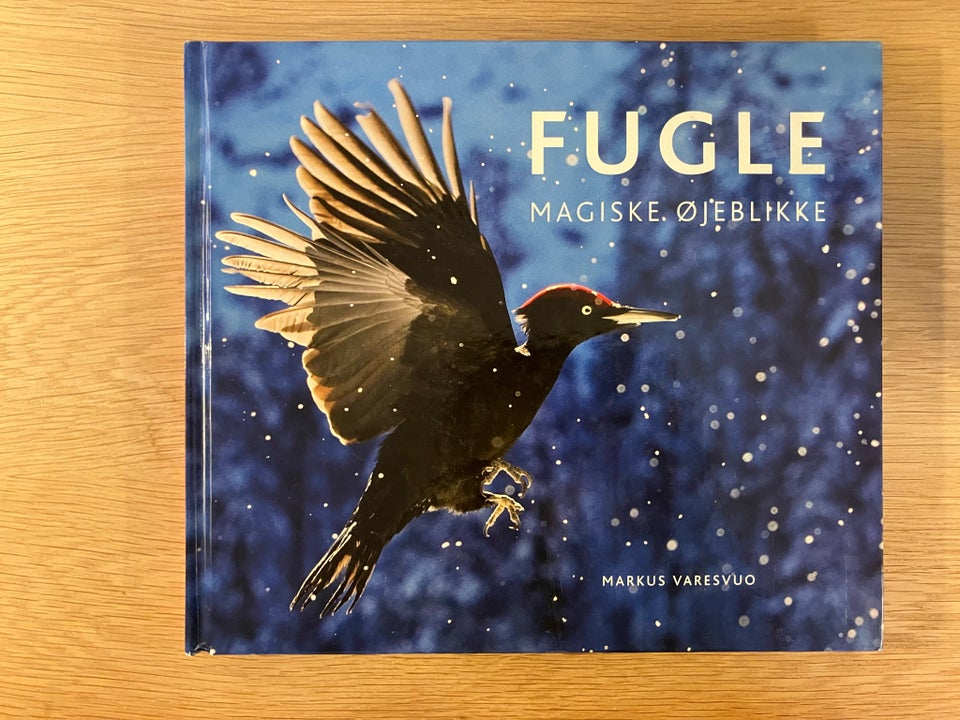 FUGLE magiske øjeblikke, Markus