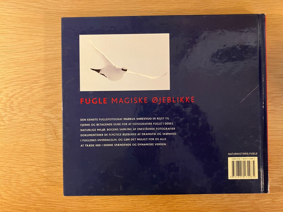 FUGLE magiske øjeblikke, Markus