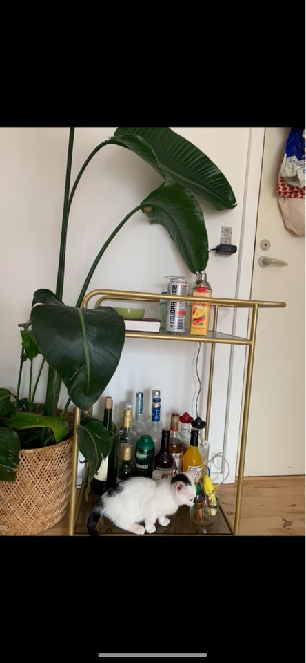 Minibar