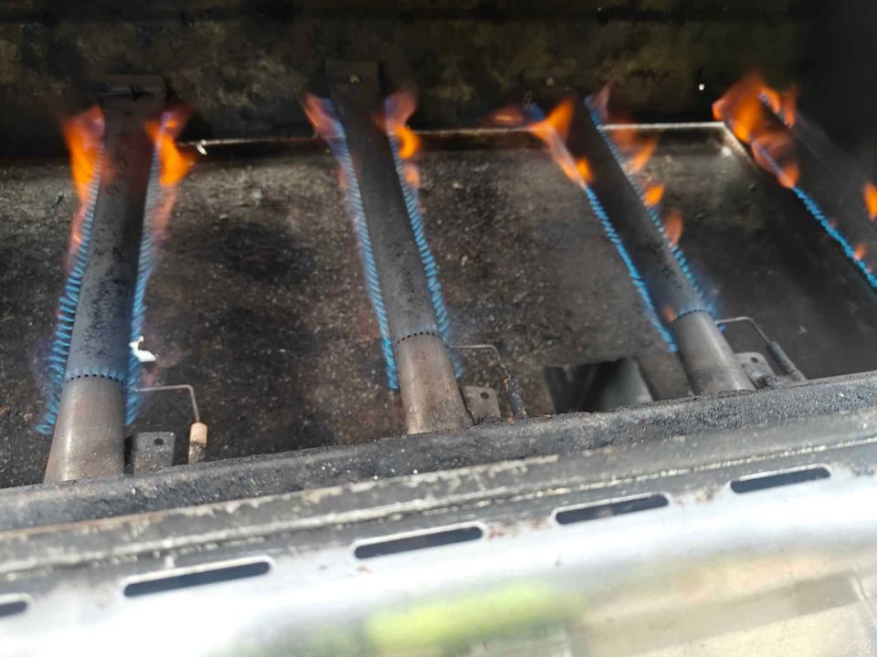 Gasgrill, Nexgrill