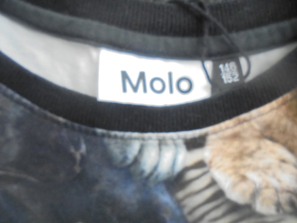 Kjole, I, MOLO