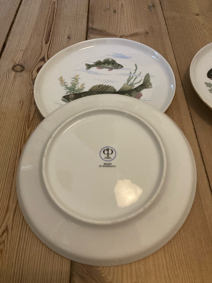 Porcelæn Tallerken cp Colditz