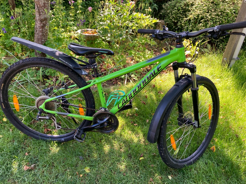 Cannondale hardtail 24 gear