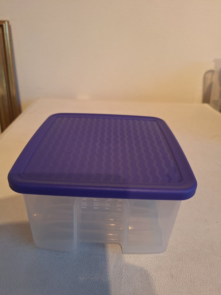 FridgeSmart, Tupperware