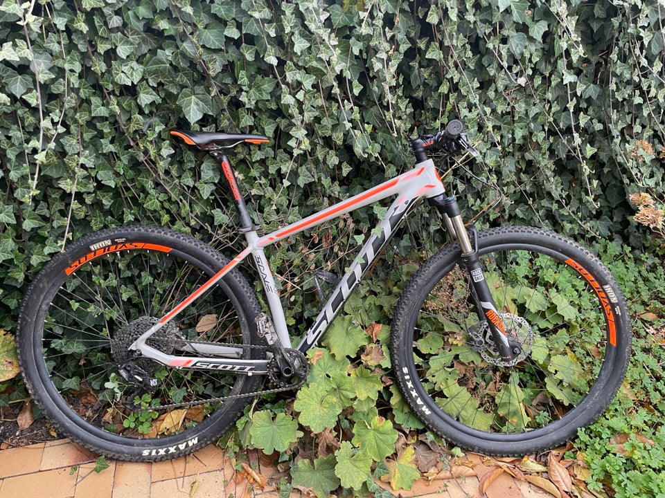 Scott Scale 956, hardtail, Medium