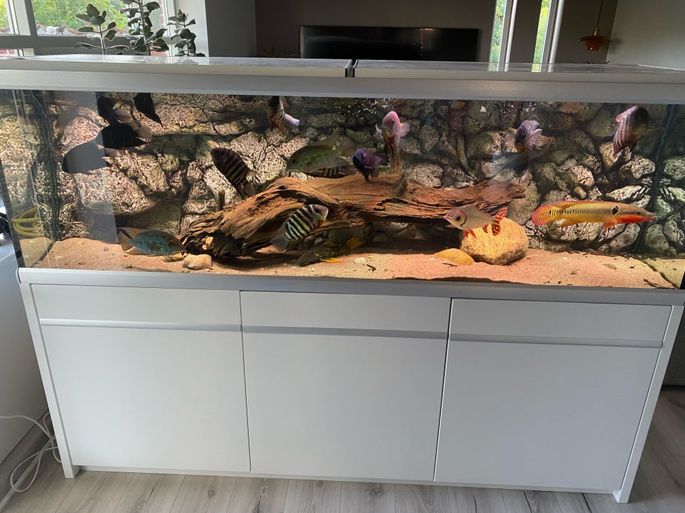 Akvarium, 720 liter, b: 200 d: 60 h: