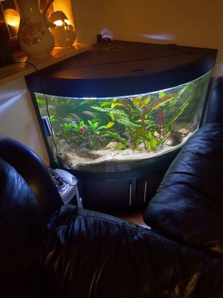 Akvarium, 190 liter, b: 98 d: 68 h: 94