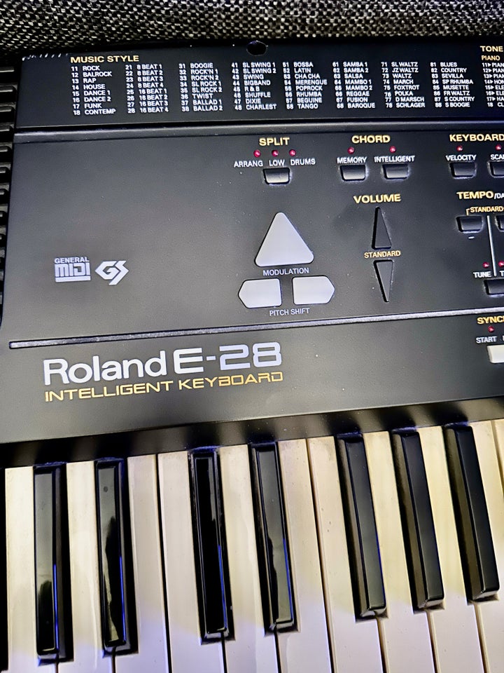 Keyboard, Roland E-28