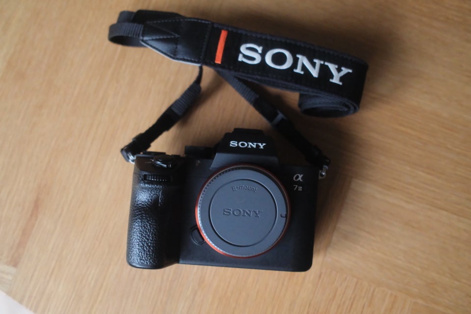 Sony, Sony A7III, 24,2 megapixels