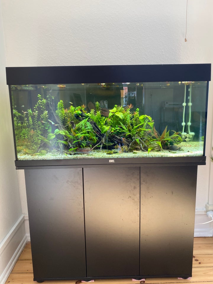 Akvarium, 180 liter, b: 101 d: 41 h: