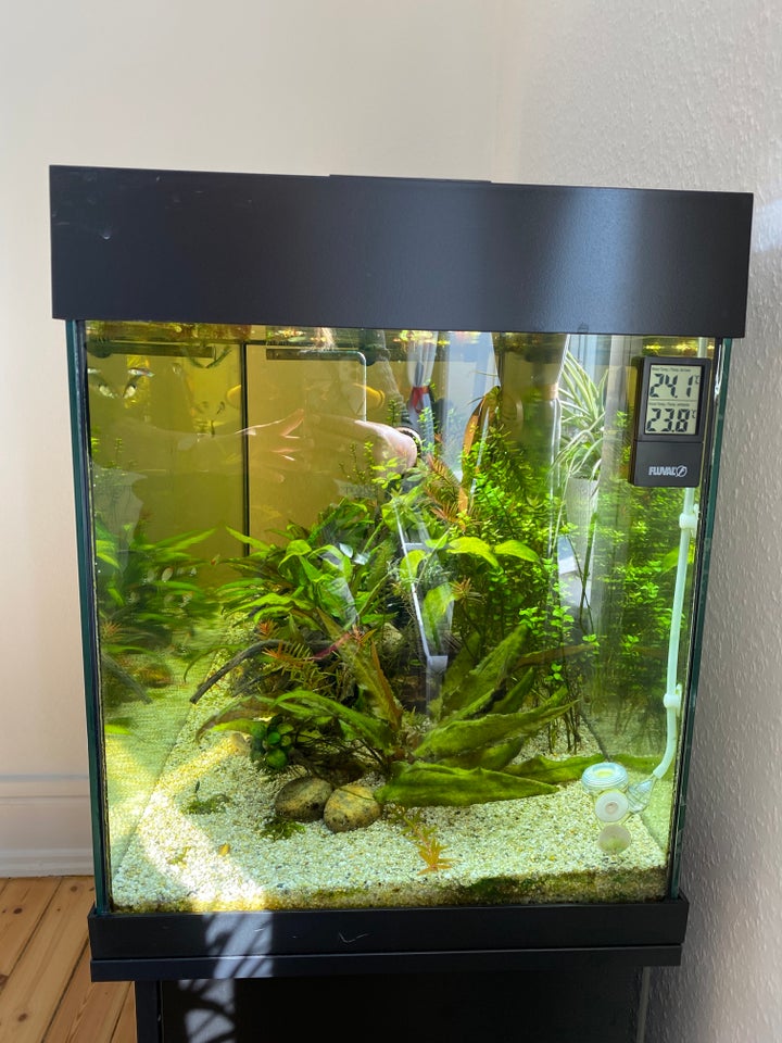 Akvarium, 180 liter, b: 101 d: 41 h: