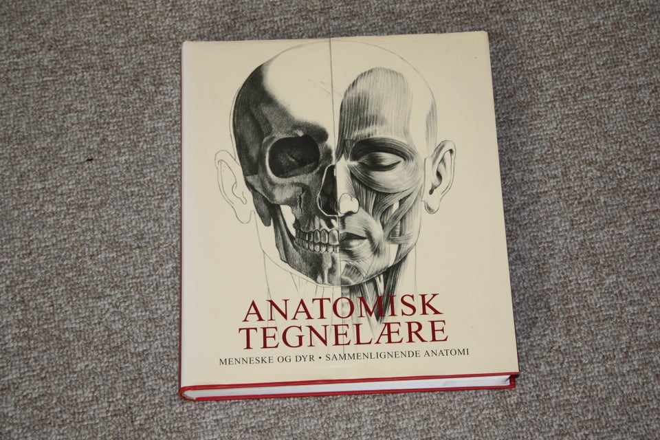 Anatomisk Tegnelære Mennesker og