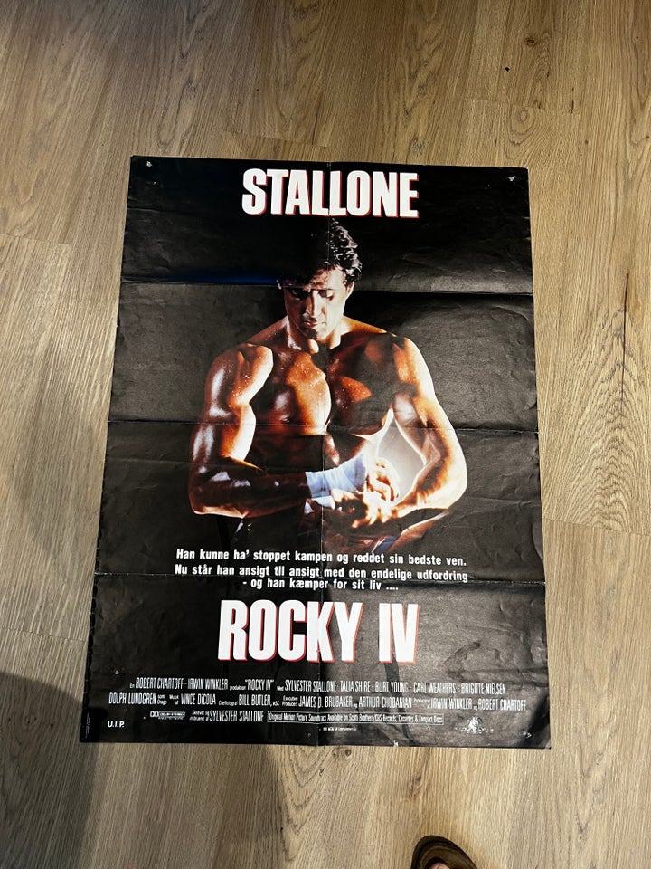 FILMPLAKAT SYLVESTER STALLLONE