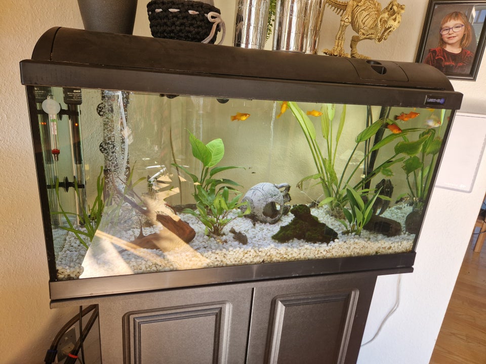 Akvarium, 120 liter