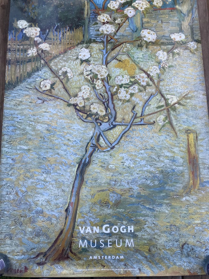 Plakat, Van Gogh, motiv: Pæretræ i