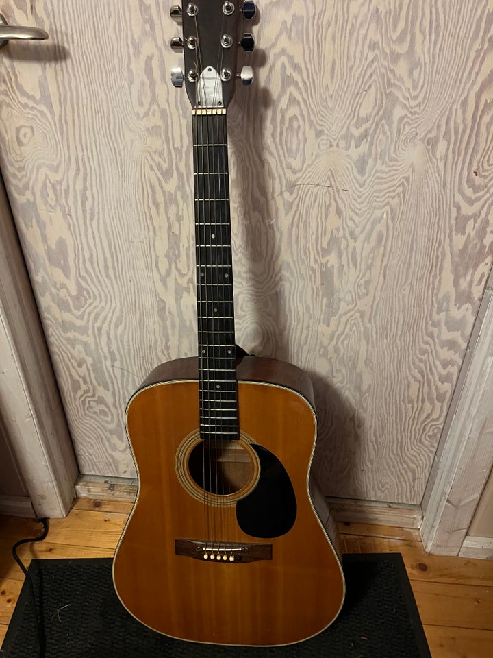 Akustisk guitar, Concerter CW 05