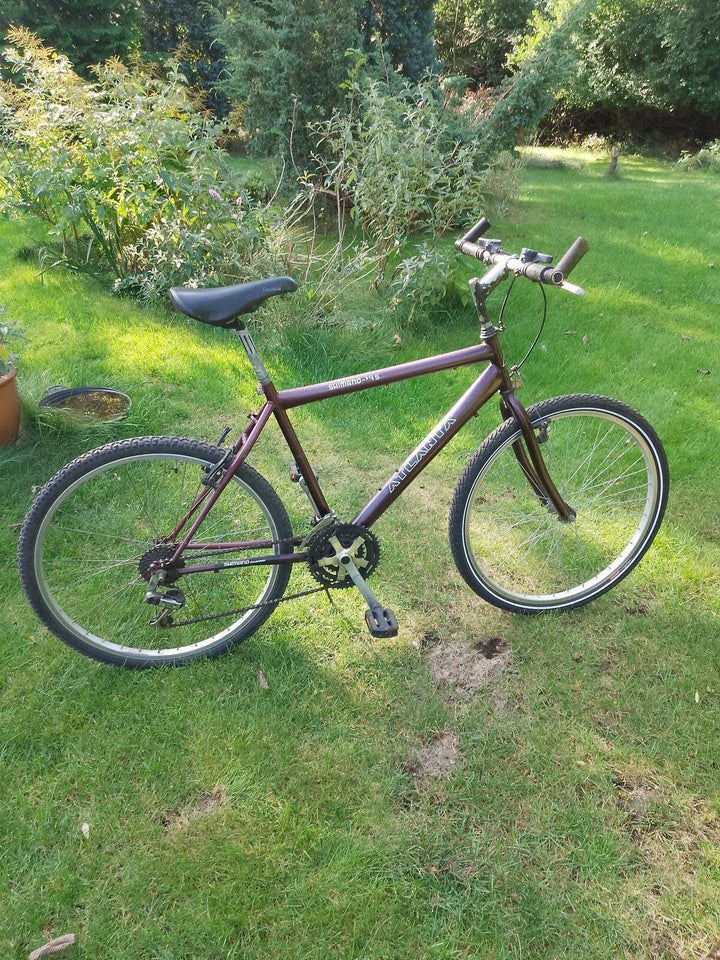 andet mærke Vintage , hardtail, 47