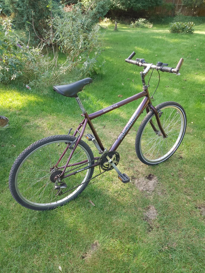 andet mærke Vintage , hardtail, 47