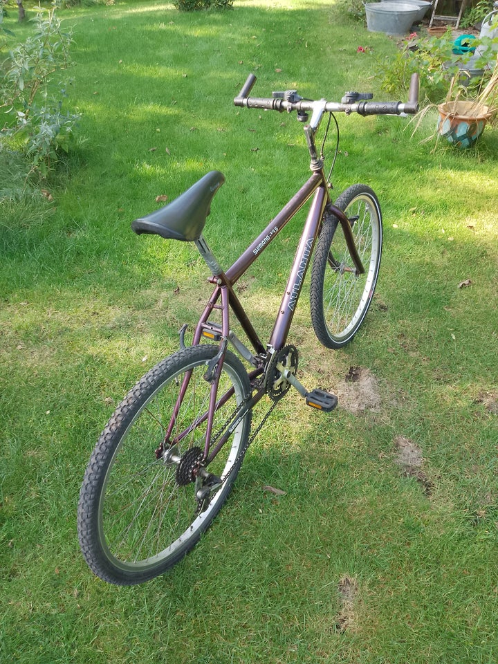 andet mærke Vintage , hardtail, 47