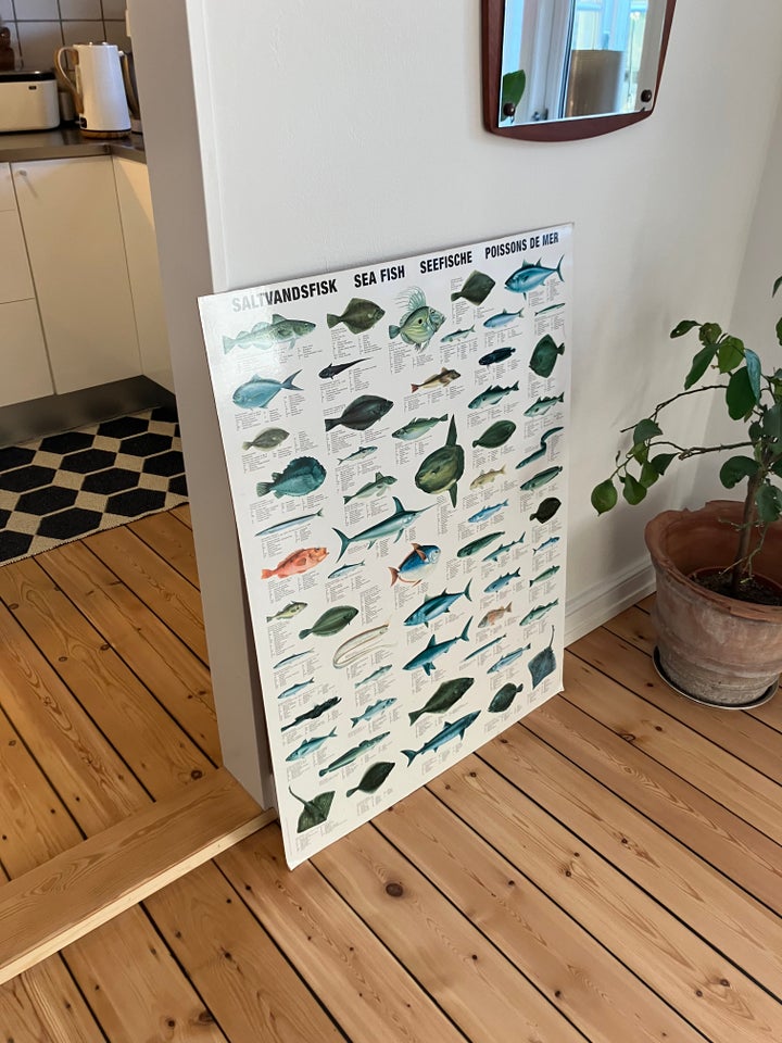 Plakat med fisk på træplade motiv: