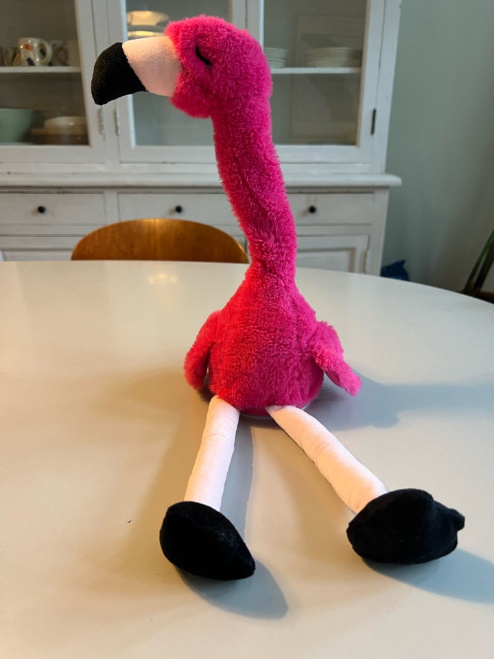 Andet, Talende flamingo