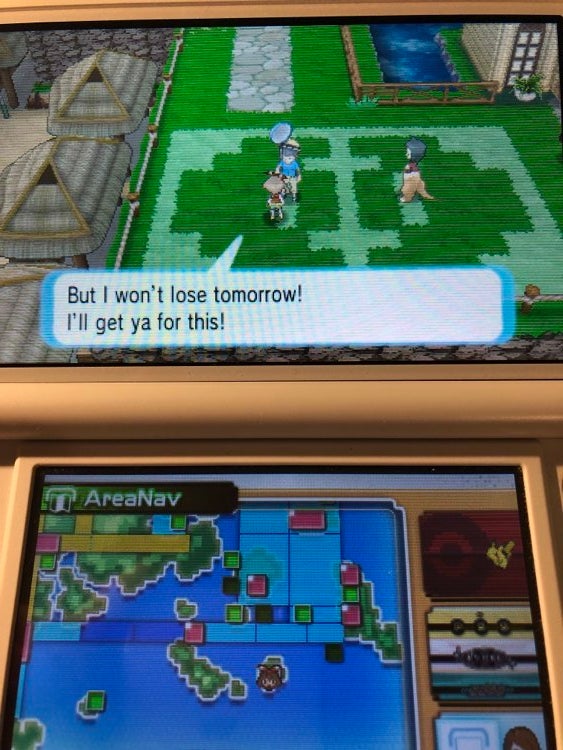 Pokemon Omega Ruby, Pokemon