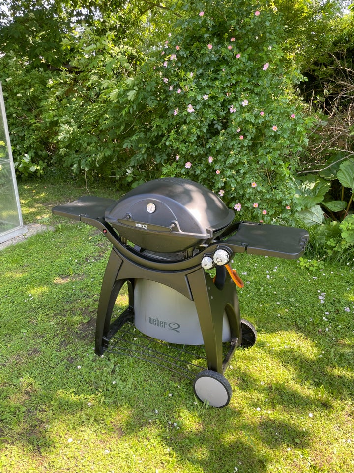 Gasgrill Weber model Q300