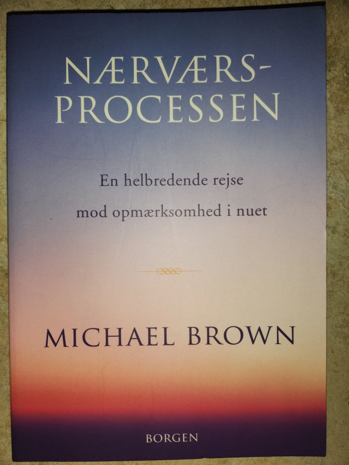 NÆRVÆRSPROCESSEN, MICHAEL BROWN,