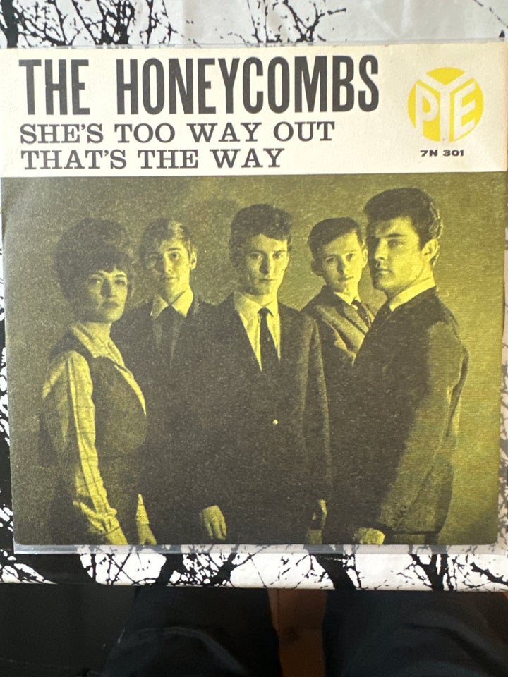 Single, The honeycombs